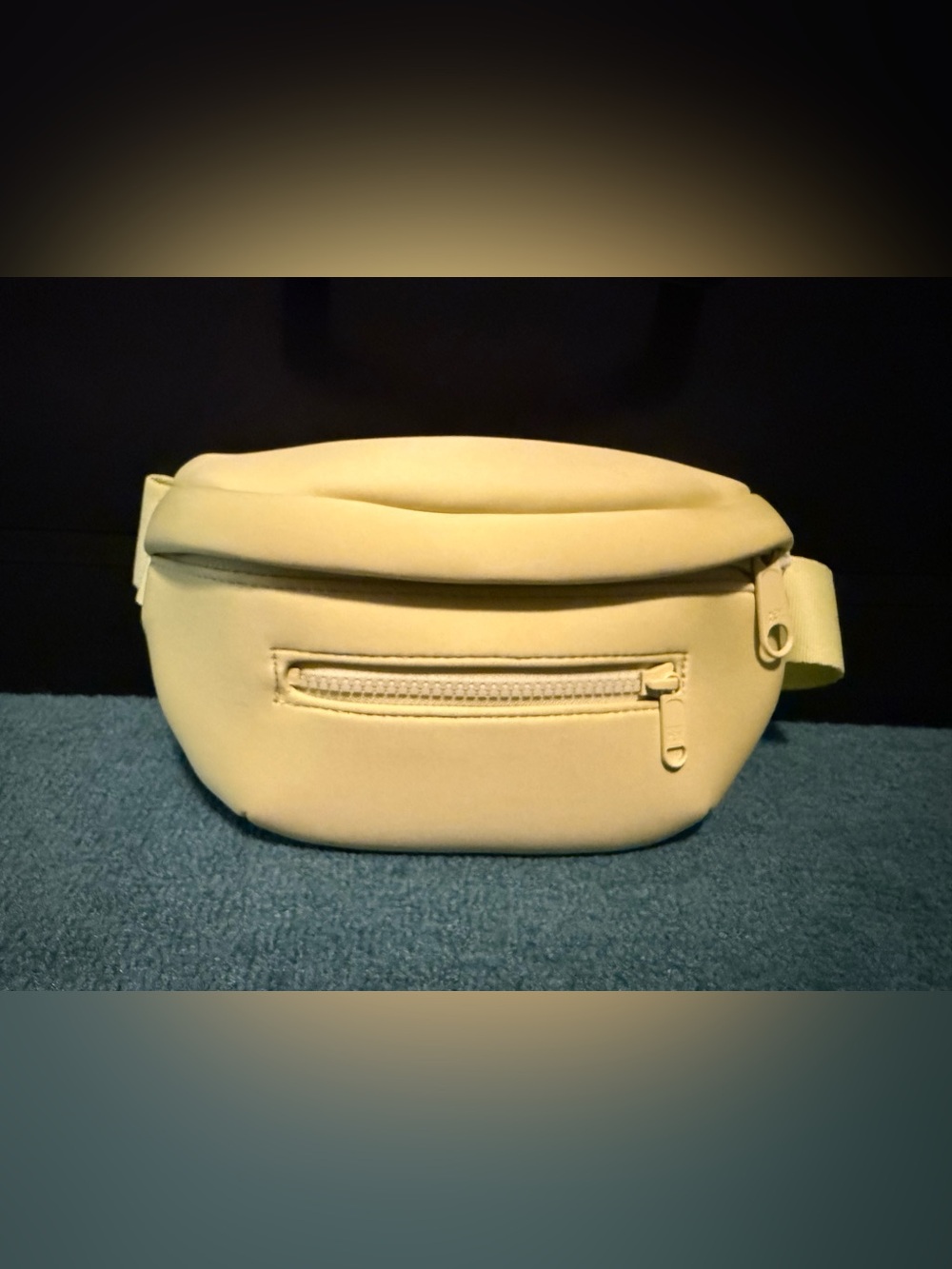 Dagne Dover Ace Fanny pack